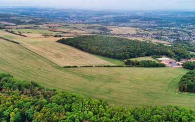 Greencells in the local press!