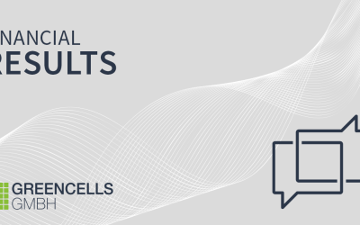 Strong H1 performance