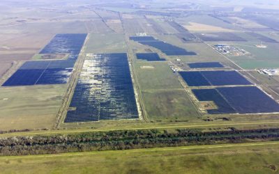 GREENCELLS ÎȘI CONSOLIDEAZĂ POZIȚIA DOMINANTĂ ÎN UNGARIA